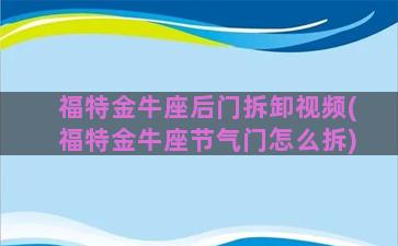 福特金牛座后门拆卸视频(福特金牛座节气门怎么拆)