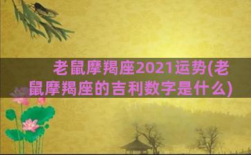 老鼠摩羯座2021运势(老鼠摩羯座的吉利数字是什么)