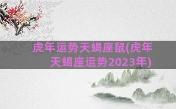 虎年运势天蝎座鼠(虎年天蝎座运势2023年)