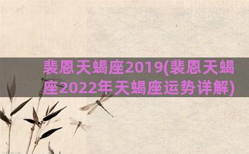 裴恩天蝎座2019(裴恩天蝎座2022年天蝎座运势详解)