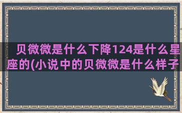 贝微微是什么下降124是什么星座的(小说中的贝微微是什么样子的)