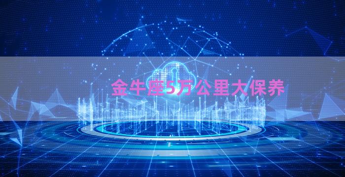 金牛座5万公里大保养