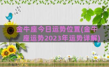 金牛座今日运势位置(金牛座运势2023年运势详解)